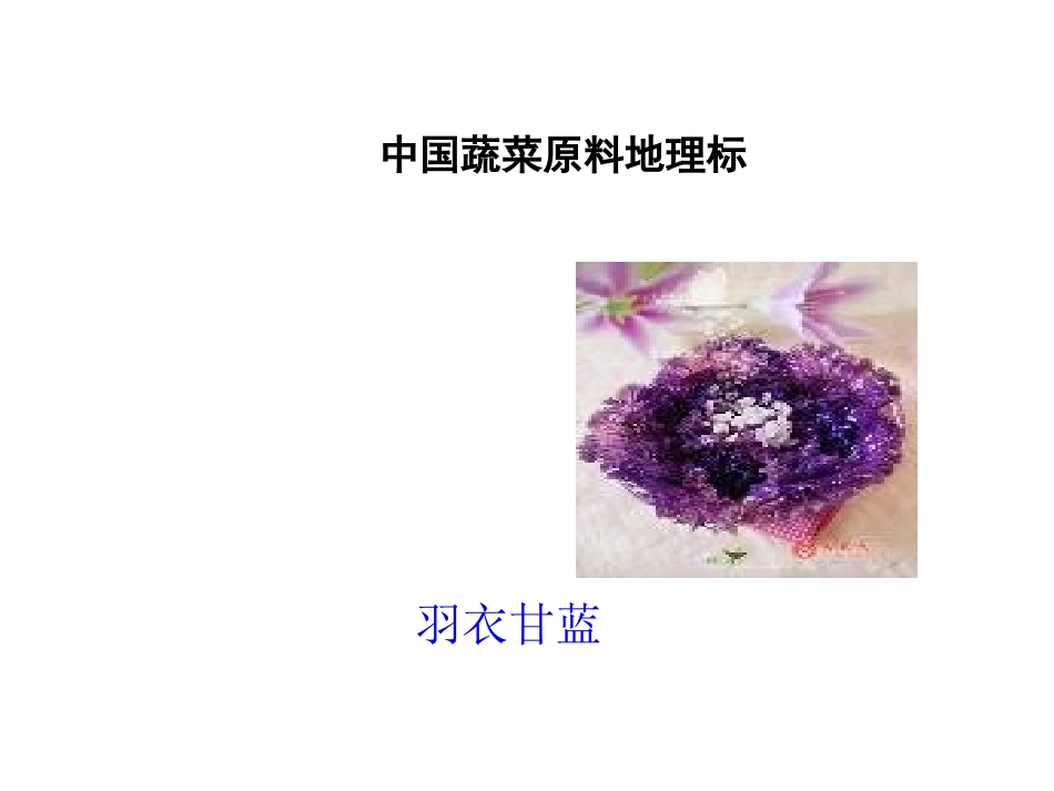 蔬菜类-羽衣甘蓝_第1页