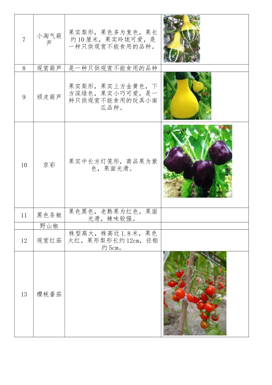 蔬菜品种介绍(李子园)_第2页