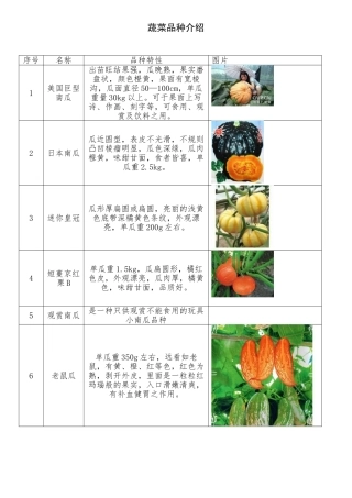 蔬菜品种介绍(李子园)