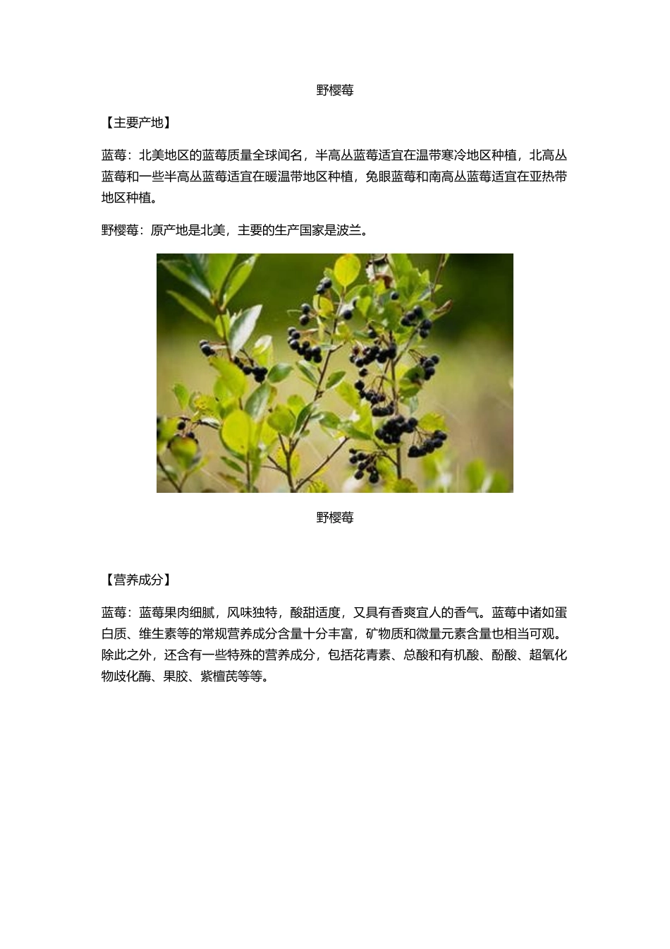蓝莓与野樱莓的比较以及Wellfine系列介绍_第2页