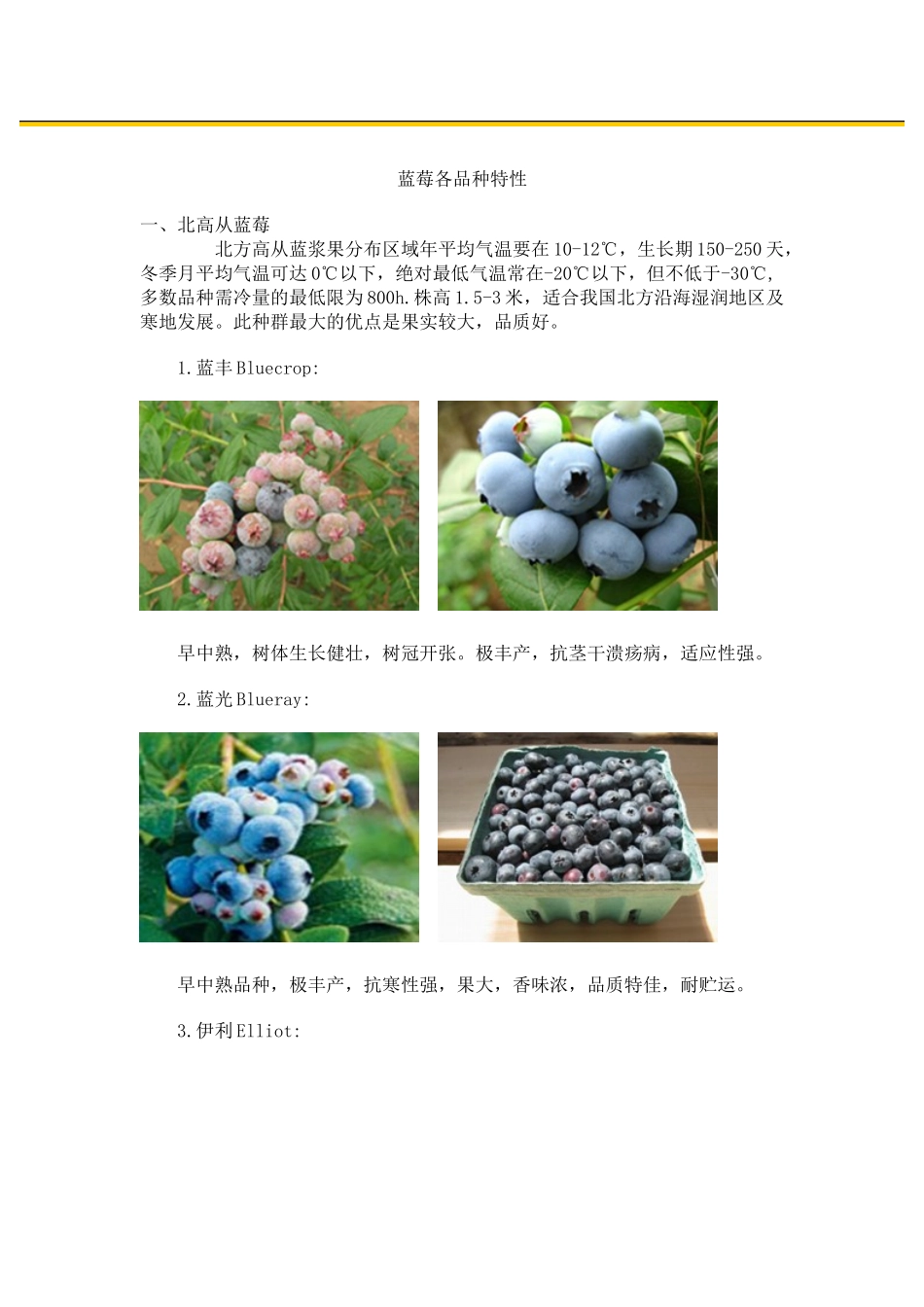 蓝莓各品种特性_第1页