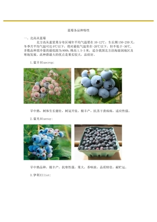 蓝莓各品种特性