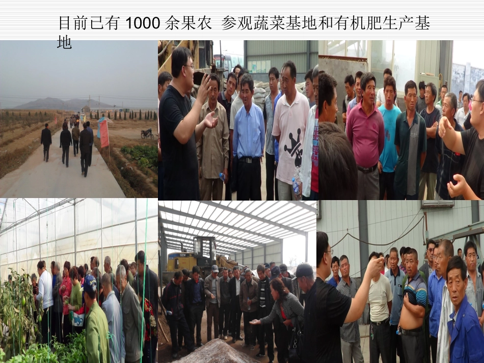 葡萄高产管理施肥技术_第3页