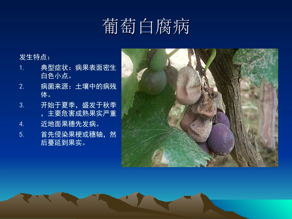 葡萄病害防治_第2页