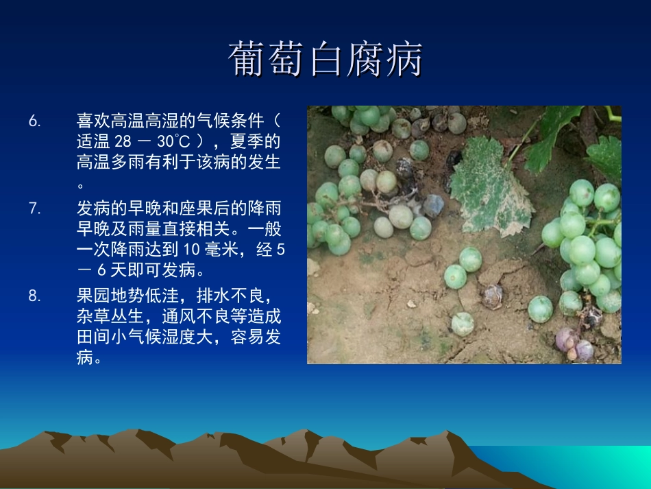 葡萄病害防治_第3页