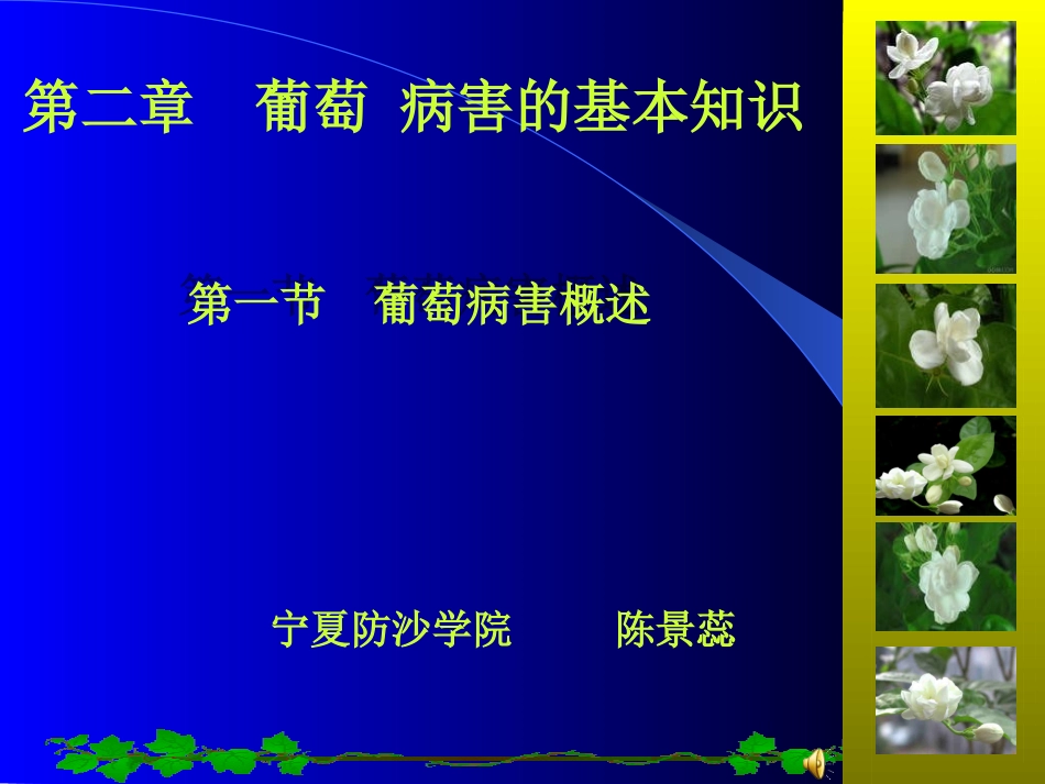 葡萄病害课件_第1页