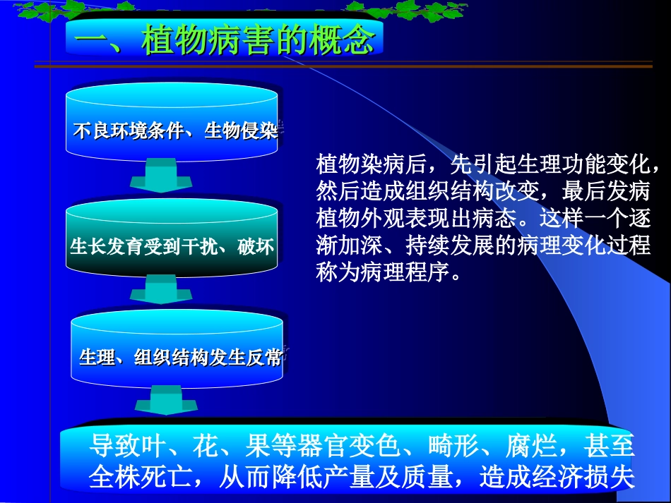 葡萄病害课件_第2页