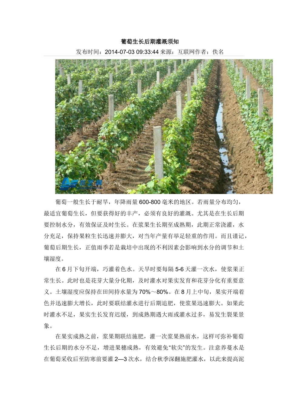 葡萄生长后期灌溉须知_第1页