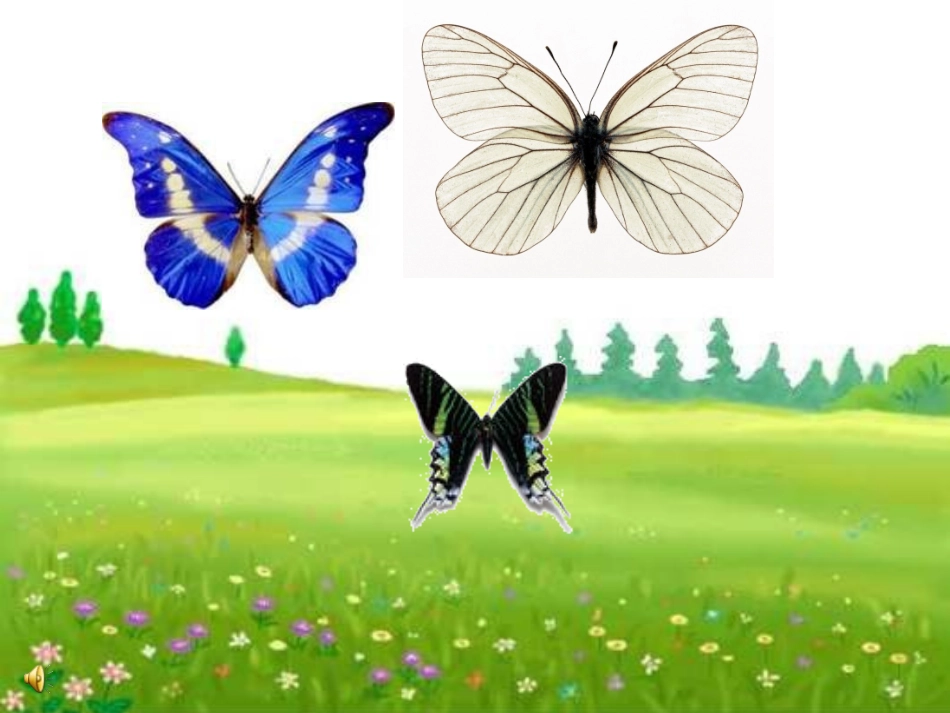 轴对称图形-陶丽丽_第2页