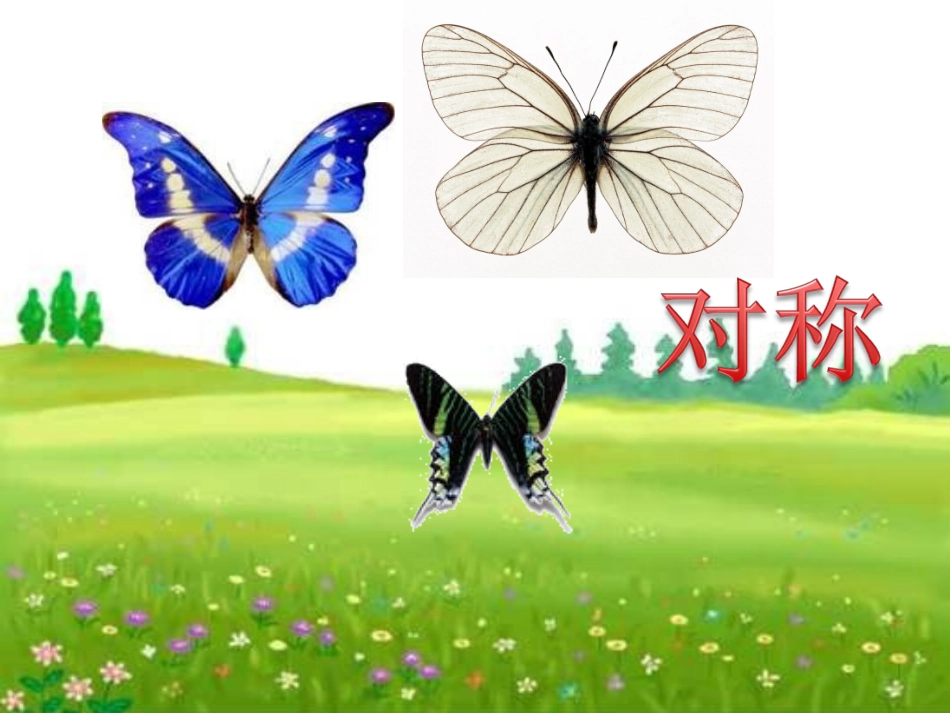 轴对称图形-陶丽丽_第3页