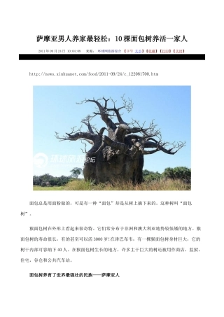 萨摩亚男人养家最轻松：10棵面包树养活一家人