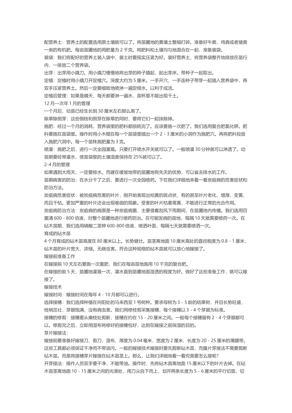 菠萝蜜栽培技术_第3页