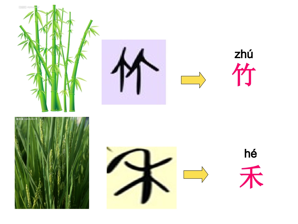 小学一年级语文上册识字8-(1)_第3页