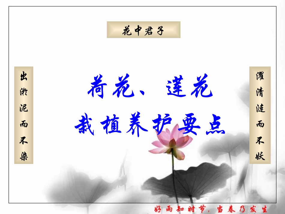 荷花、莲花的栽植养护要点_第1页