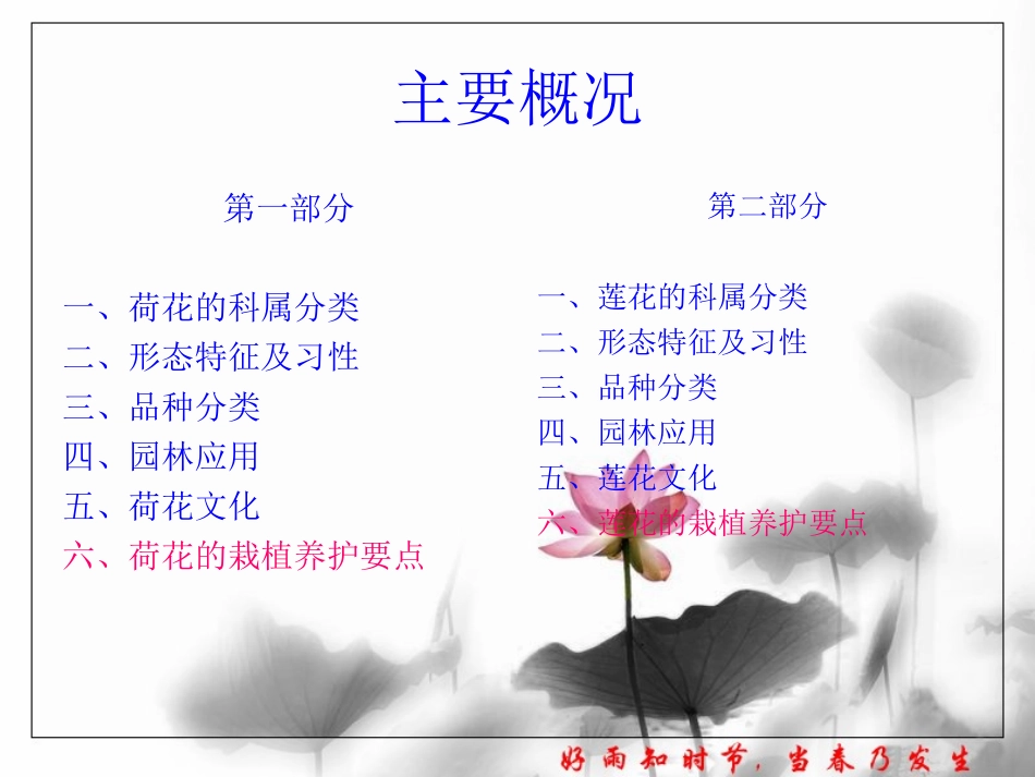 荷花、莲花的栽植养护要点_第2页