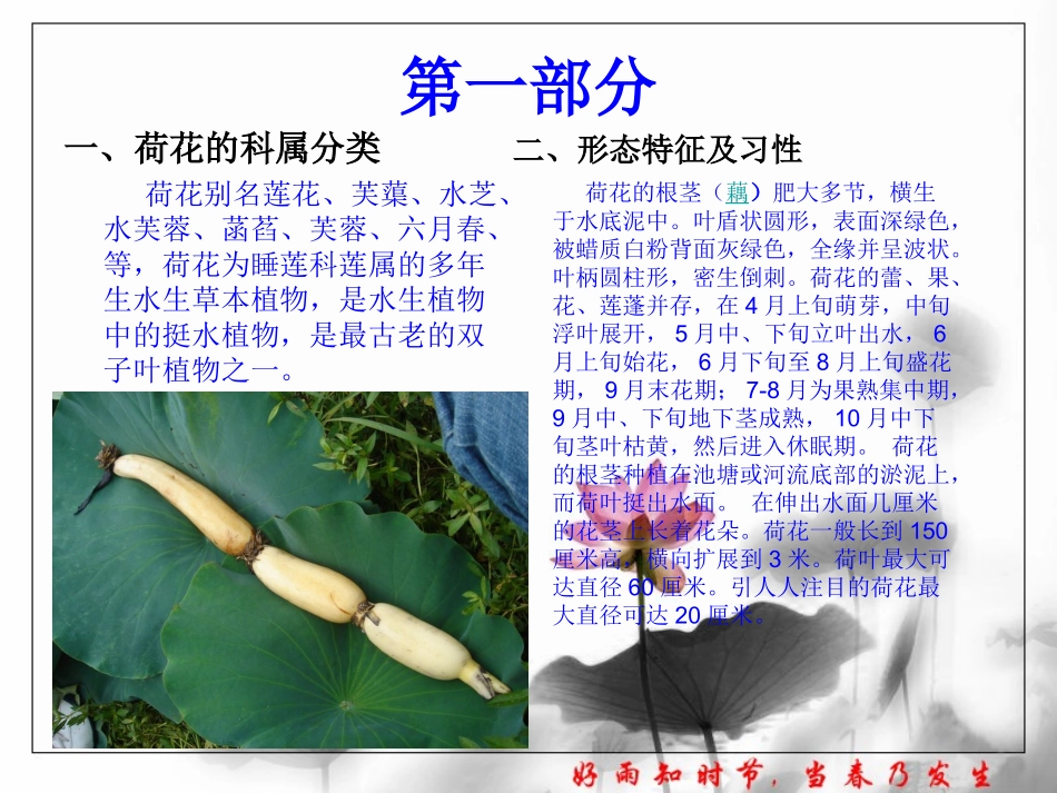 荷花、莲花的栽植养护要点_第3页