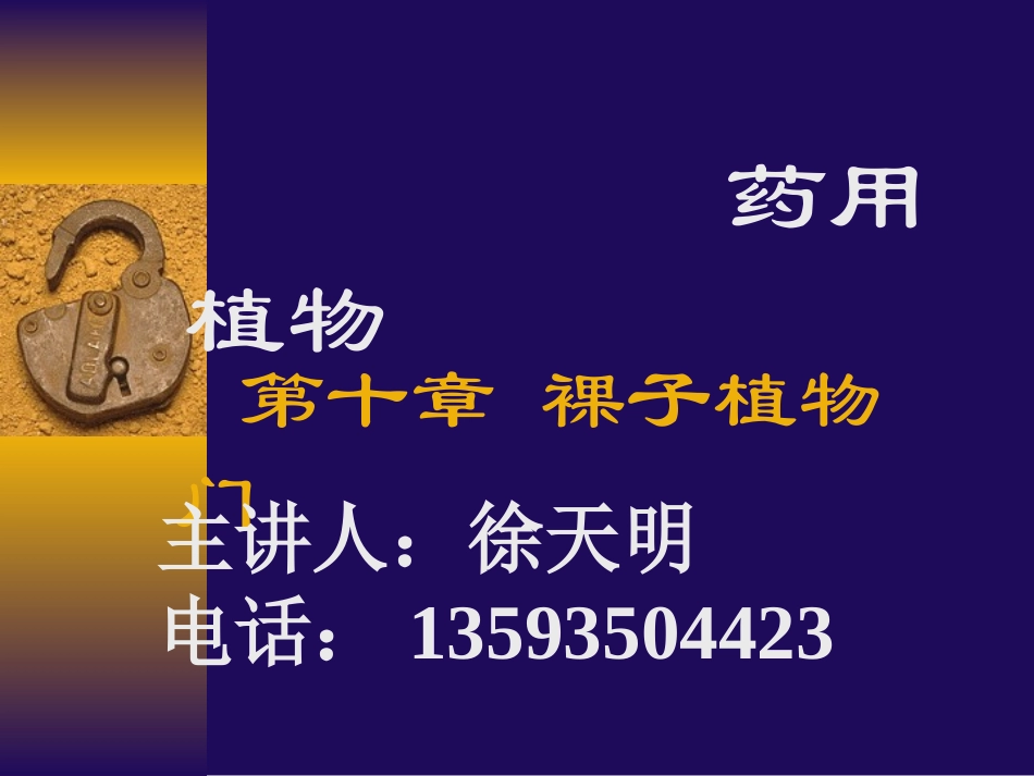 药用植物裸子植物_第1页