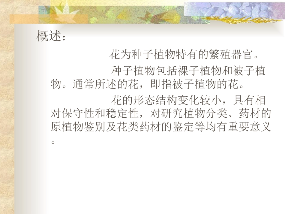 药用植物学6：花_第2页