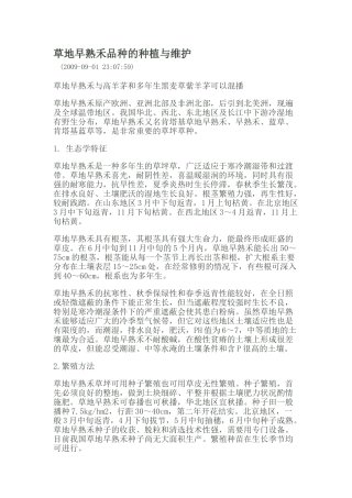 草地早熟禾品种的种植与维护