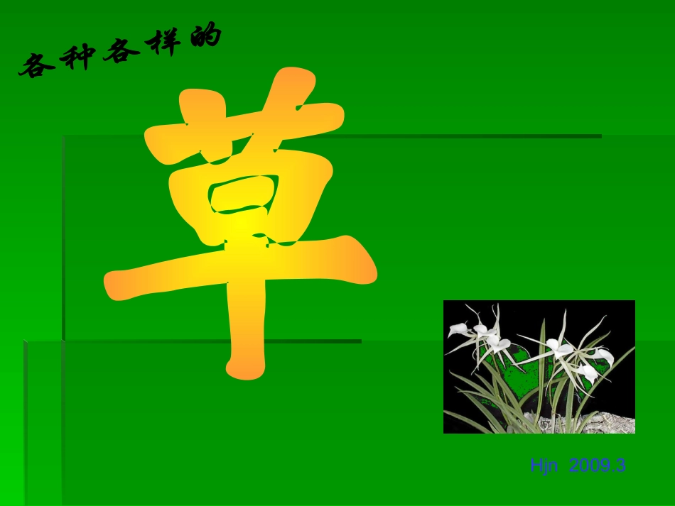 草丛中幻灯片_第1页