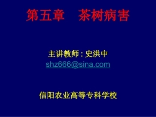 茶树病虫害防治3(信阳农专)3(1)第五章  茶树病害第三节  根部病害
