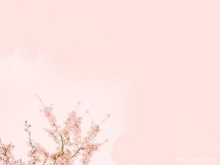 简约淡雅的模板