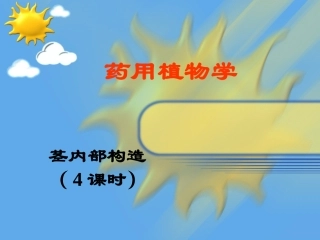 茎的内部构造