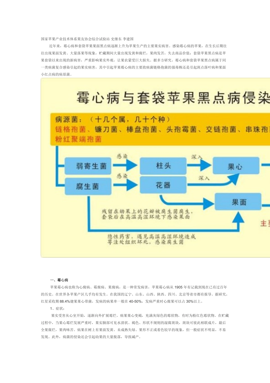 苹果霉心病黑点病(插图)_第1页