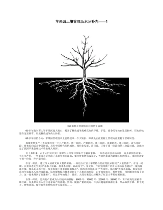 苹果园土壤管理及水分补充