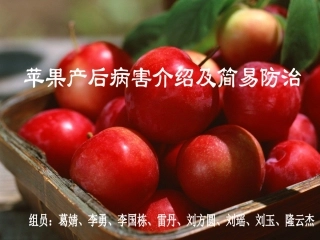 苹果产后病害简洁