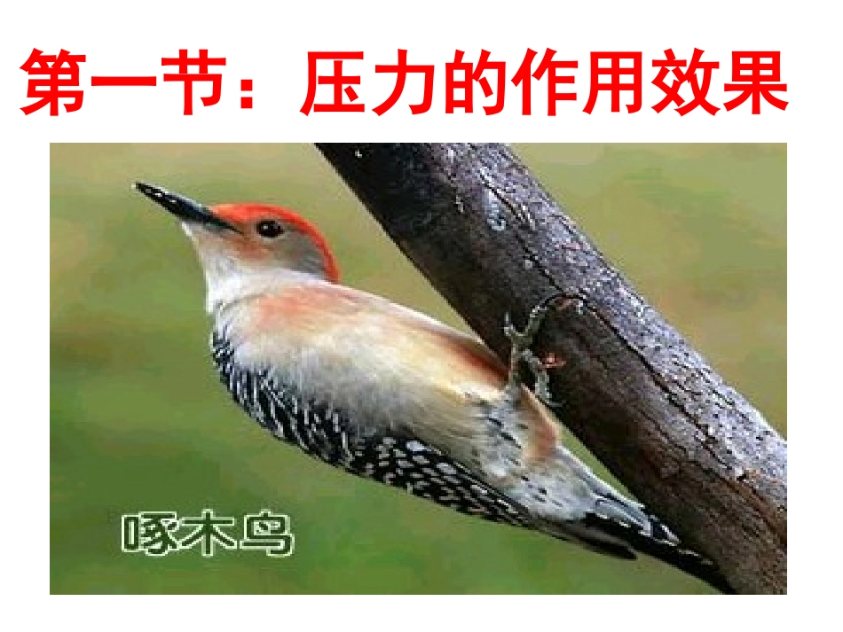 第一节：压力的作用效果_第1页