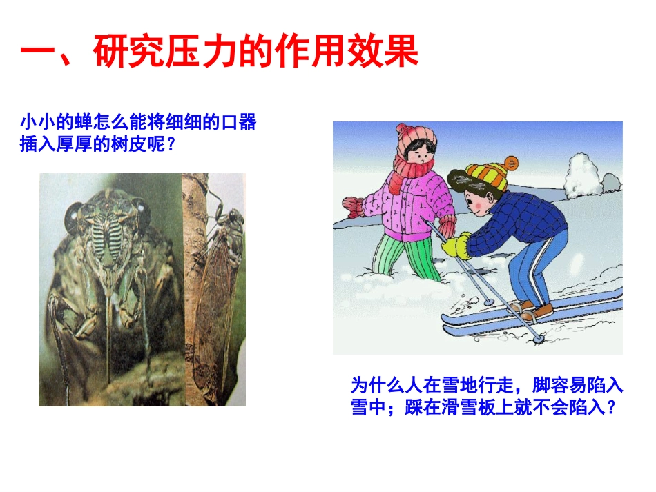第一节：压力的作用效果_第2页