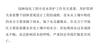 苗木绿化养护中的灌水基础知识