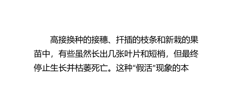 苗木出现“假活”怎么办_第2页