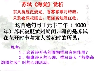 苏轼《海棠》赏析