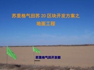 苏里格气田苏20区块开发方案之地面工程