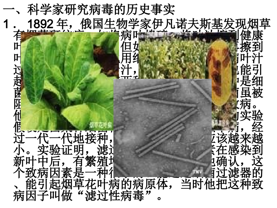 苏教版教学课件[名校联盟]陕西省安康市汉滨高级中学高一生物《12 生物科学的学习过程》课件_第3页