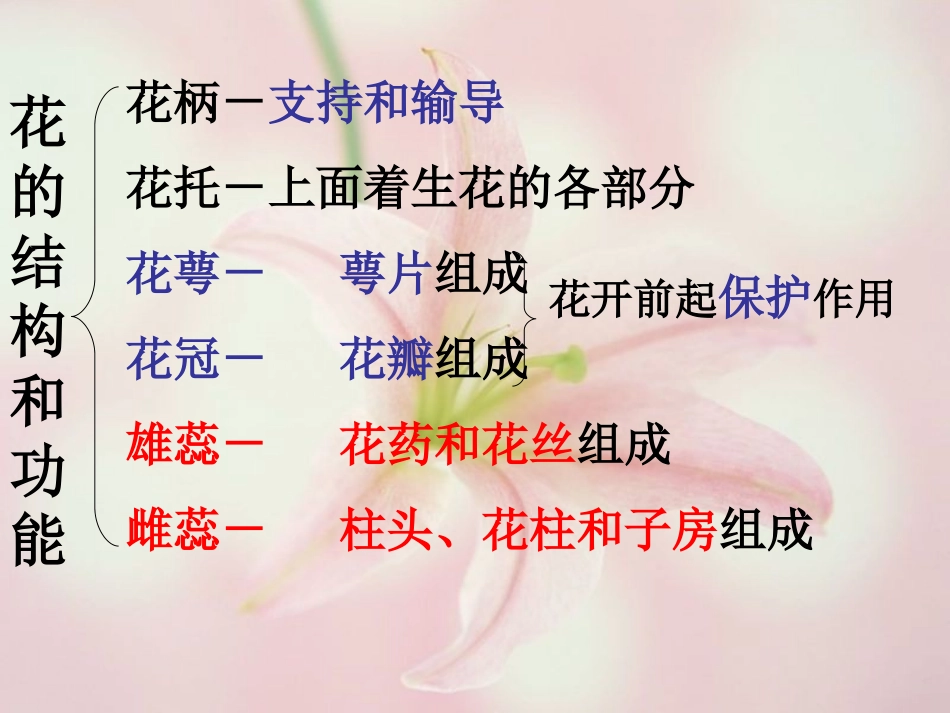 花的结构和类型_第2页