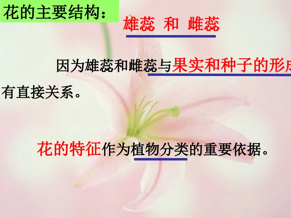 花的结构和类型_第3页