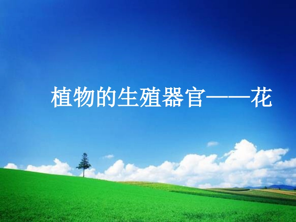 花的组成与形态_第1页