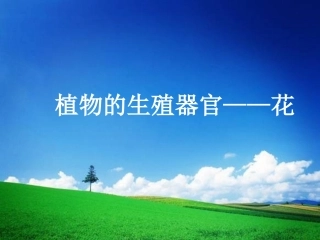 花的组成与形态