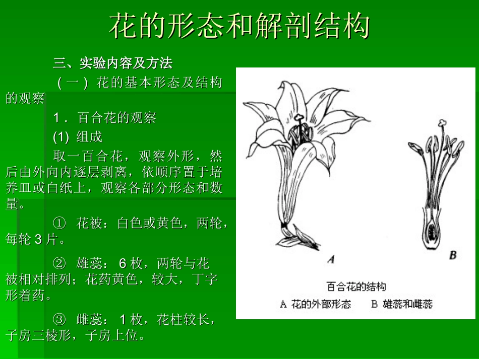 花的形态和解剖结构_第3页