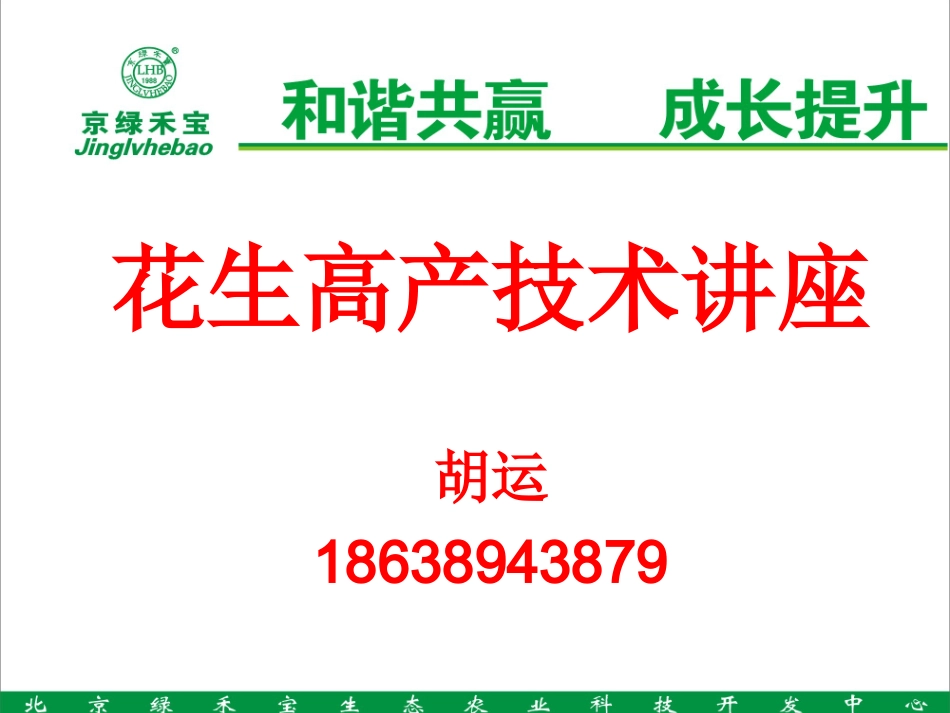 花生高产技术_第1页