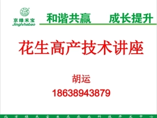 花生高产技术