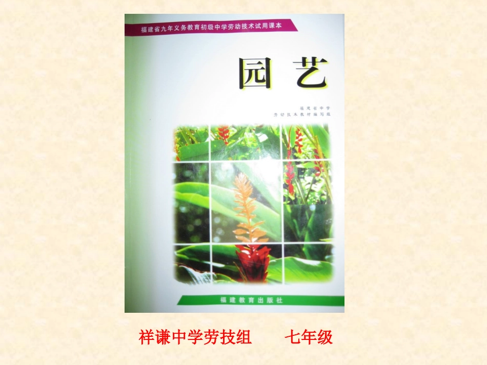 花卉的上盆与换盆_第1页