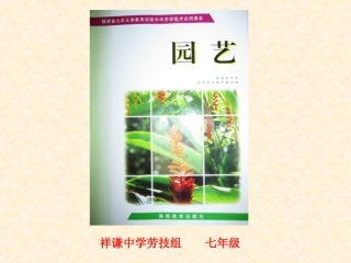 花卉的上盆与换盆