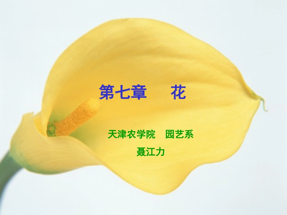 花的形态及发育_第1页