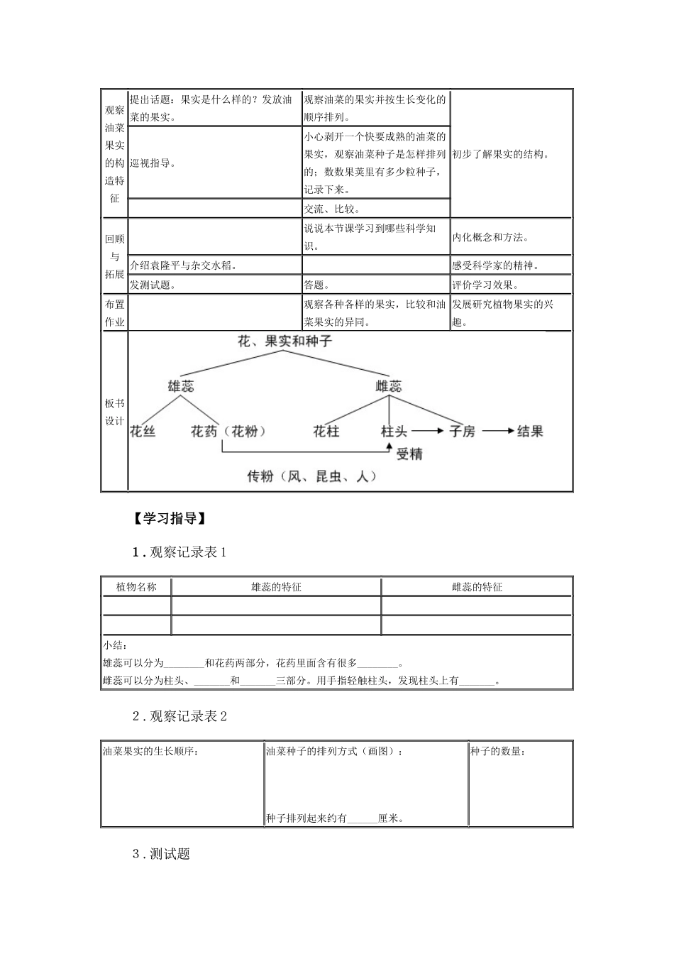 花·果实·种子_第3页