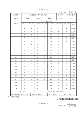花冠小区18#楼地基仟探记录