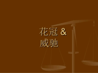 花冠&威驰比较ppt
